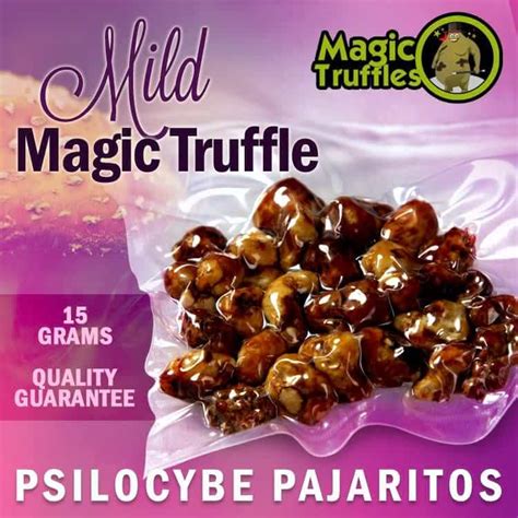 The Pros and Cons of Buying Magic Truffles Online